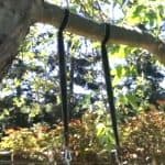 Heavy Duty Tree Swing Straps