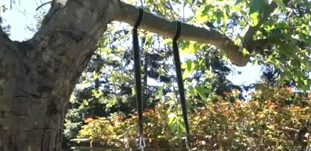 Heavy Duty Tree Swing Straps
