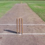 Backyard Cricket Pitch