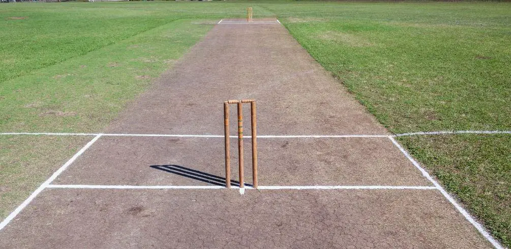 Backyard Cricket Pitch