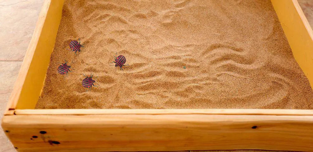 Keep Bugs Out Of Sandbox