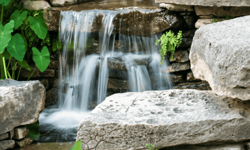 Incorporating Water Features and Landscaping Elements