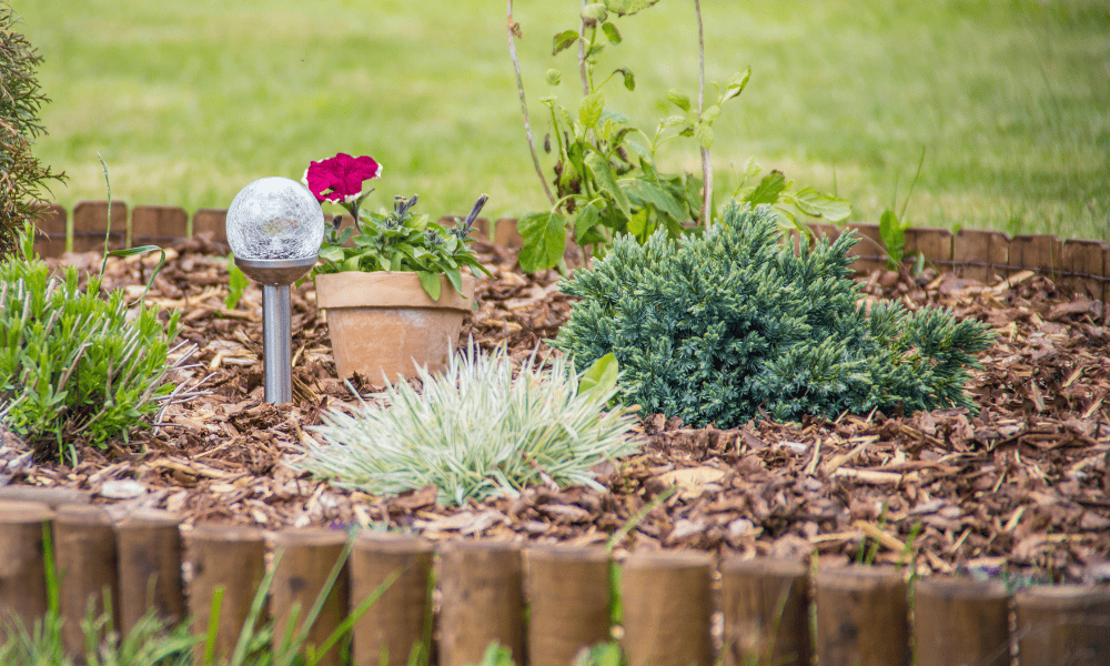 Creating Low-Maintenance Flower Beds