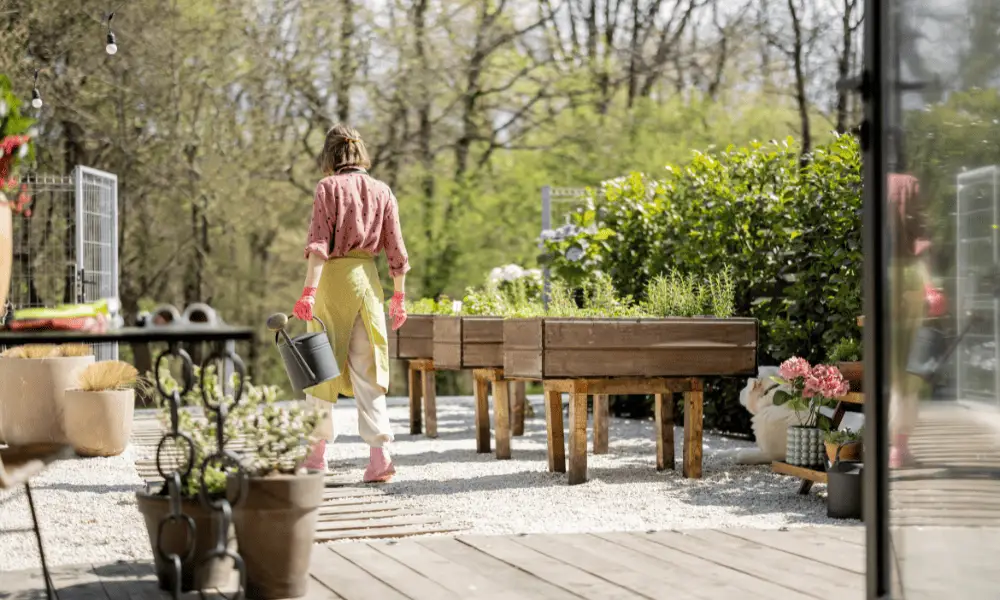 Creating a Vegetable Garden