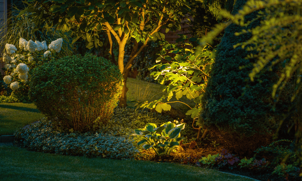 Landscape Lighting to Highlight Garden Features