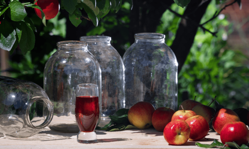 Cultivating Apple Trees at Home