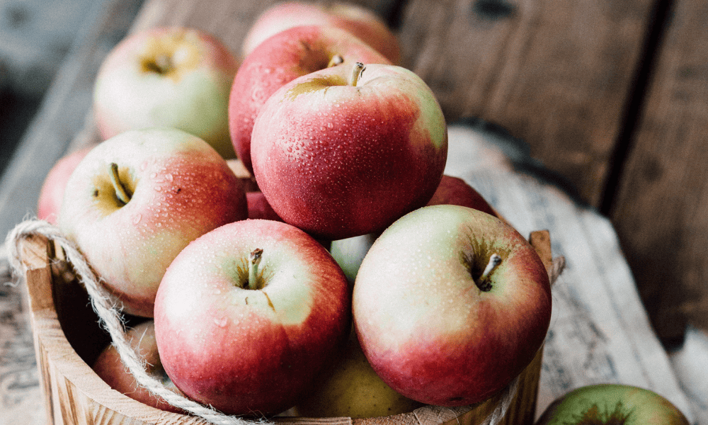 Harvesting and Storing Your Apples