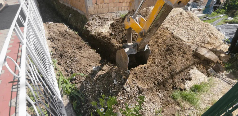 Dig In Backyard
