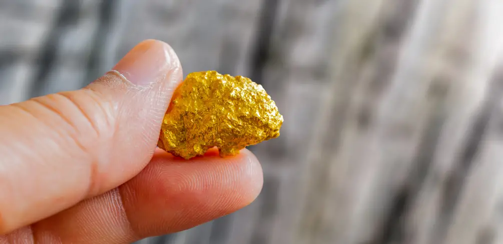 Gold Be Found In My Backyard
