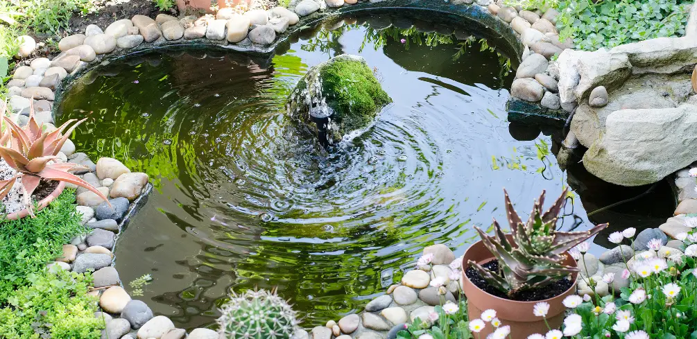 How To Keep Backyard Fountains Sparkling Clean