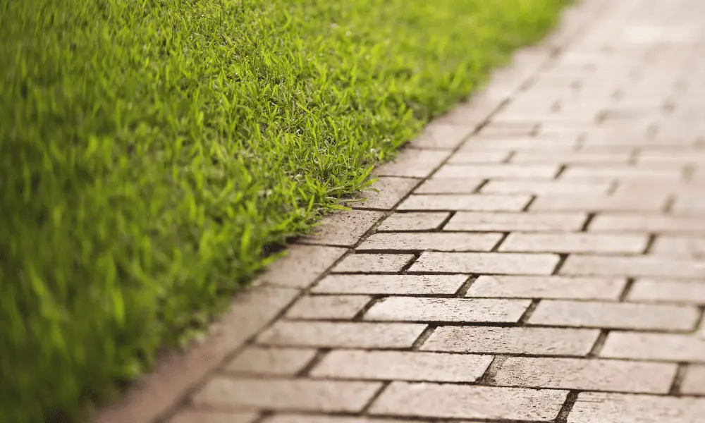 Assessing the Condition of Your Patio or Walkway