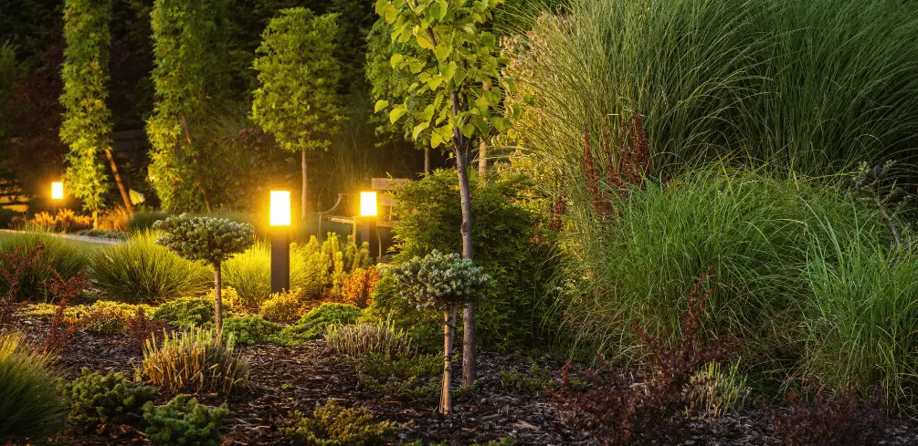 Lighting Ideas for Your Backyard