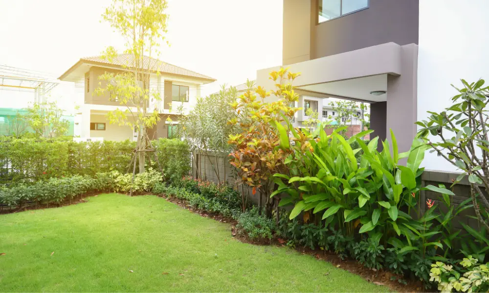 Choosing the Right Landscaping Solutions