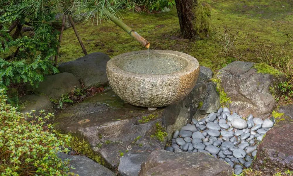 Transforming the Concrete Feature into a Garden Highlight