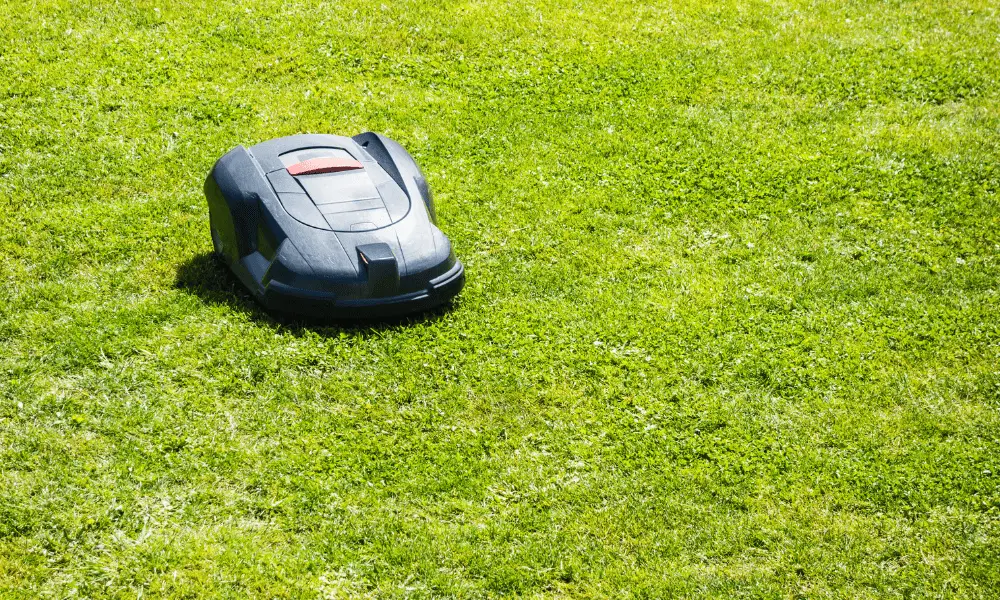 Creative Alternatives To Traditional Lawn Mowers