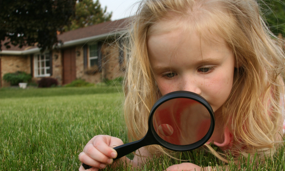 Investigating Potential Causes Of Backyard Smell