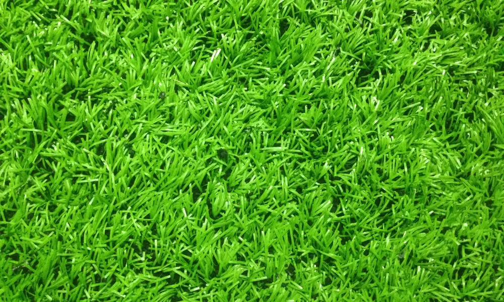 Nylon-Based Turf Options