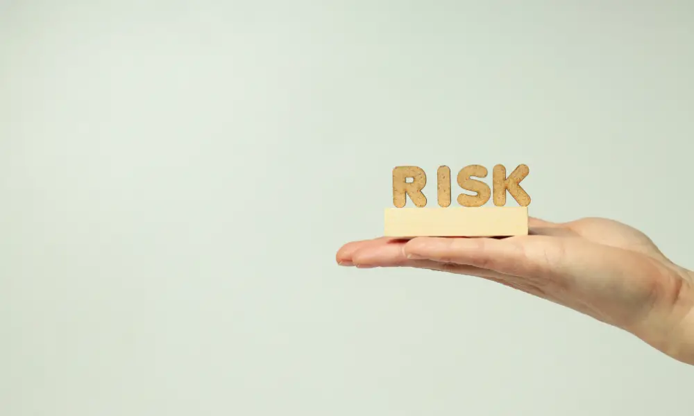 Potential Risks and Limitations