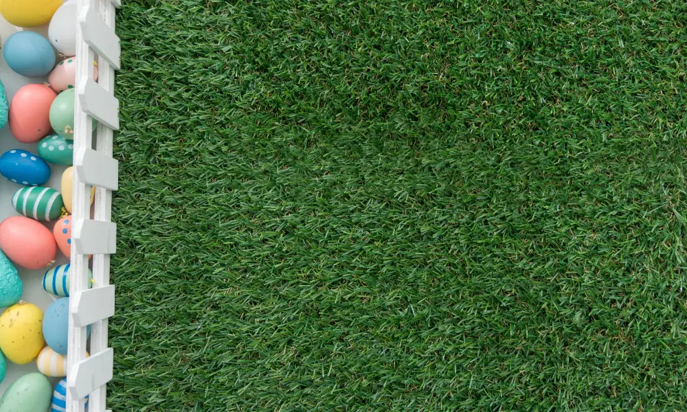 Selecting the Ideal Turf for Your Needs