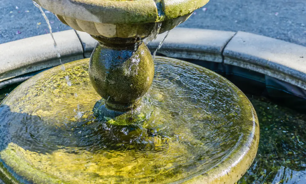 Tackling Algae Growth On Fountains