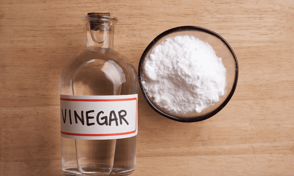 What About Vinegar? Can It Be Used To Clean Mold?