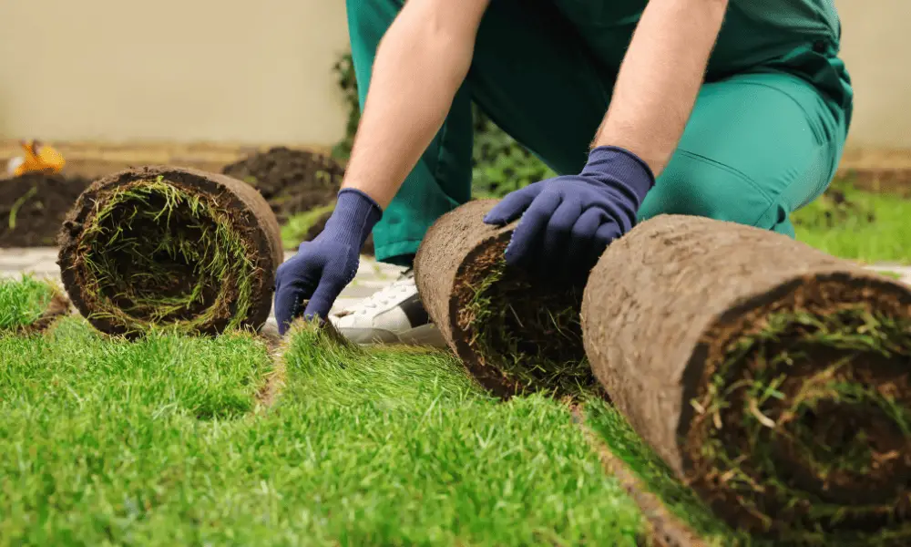 Installing Artificial Turf