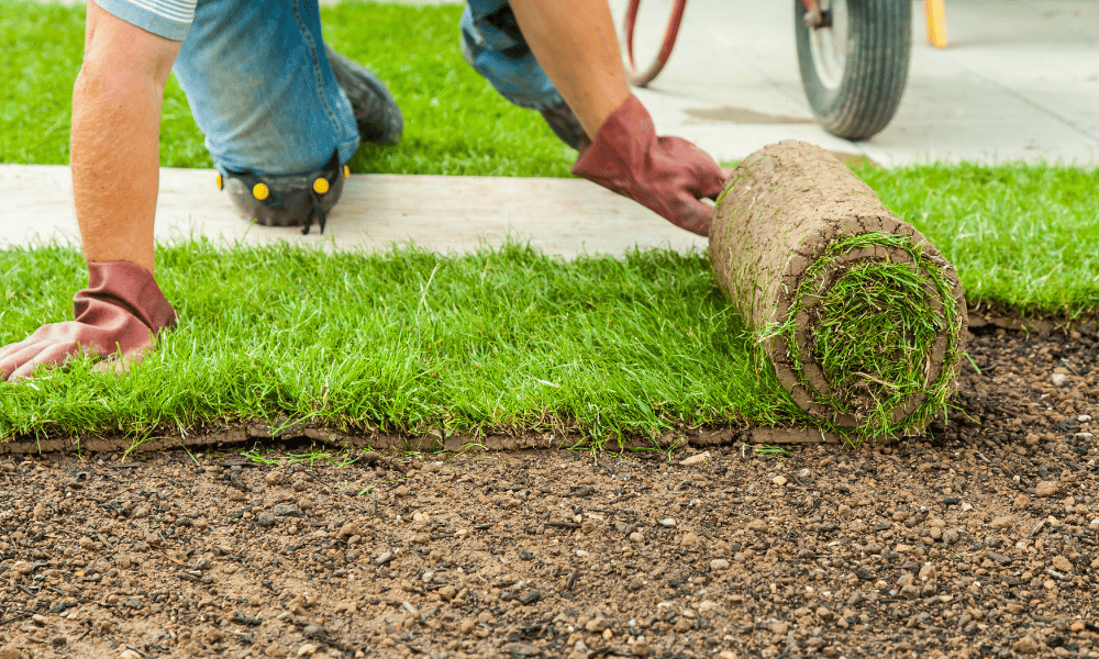 Laying the Synthetic Lawn