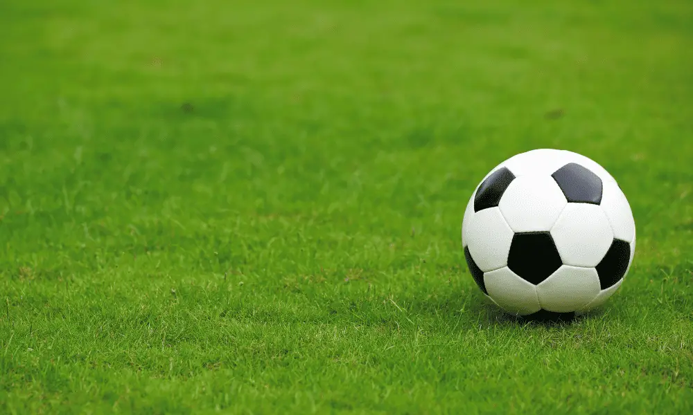 Maintaining Your Home Soccer Field