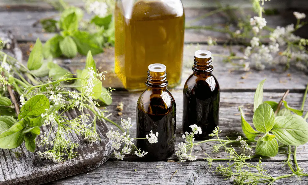 Natural Remedies for Pest Control
