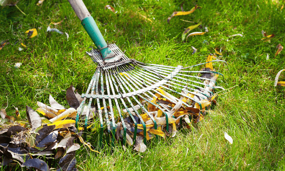 Preparing Your Outdoor Space for Cleaning