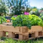 Budget-Friendly Raised Garden Bed Options