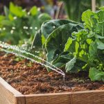 3 Benefits of Drip Irrigation for Raised Beds