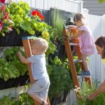 Why Start Vertical Garden Projects With Your Family?