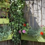 5 Best Ways to Turn Fences Into Vertical Gardens