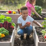 What Are the Benefits of Raised Garden Beds for Kids?