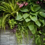 Why Choose Shade-Tolerant Plants for Vertical Gardens?