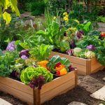 What Are the Benefits of Raised Garden Beds?