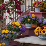 Charming Floral Decor Tips for Your Patio