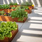 5 Best Raised Garden Beds for Concrete Patios