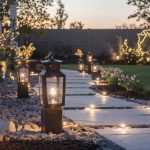 How to Illuminate Your Backyard With Solar Lights