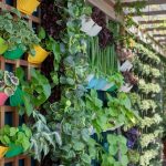 Eco-Friendly Vertical Garden Ideas for Gardeners