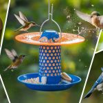 The 5 Best Bird Feeders of 2025 – Attract More Feathered Friends to Your Yard