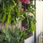 7 Vertical Garden Ideas for Urban Living