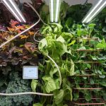 What Accessories Boost Vertical Garden Growth?