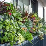 Easy Vertical Garden Solutions for Busy Lives