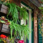 3 Best Vertical Garden Ideas for Small Spaces