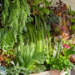 Year-Round Vertical Garden Planting Inspiration