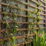 Why Vertical Gardens Boost Outdoor Appeal?