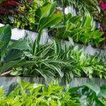 7 Best Vertical Garden Solutions for Clean Air