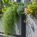 7 Best Vertical Garden Benefits for Small Spaces